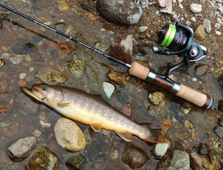 渇水→濁流 ～九頭竜川水系～